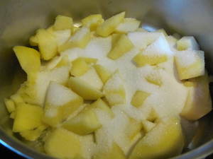 Bavarois ananas mangue